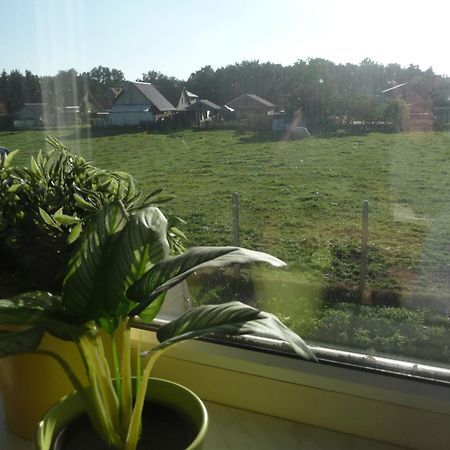 De Alpacaboerderij Daire Bocholt Oda fotoğraf