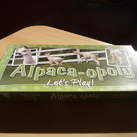 De Alpacaboerderij Daire Bocholt Oda fotoğraf