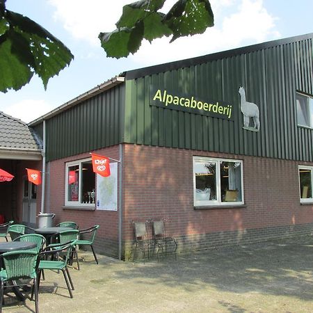 De Alpacaboerderij Daire Bocholt Dış mekan fotoğraf
