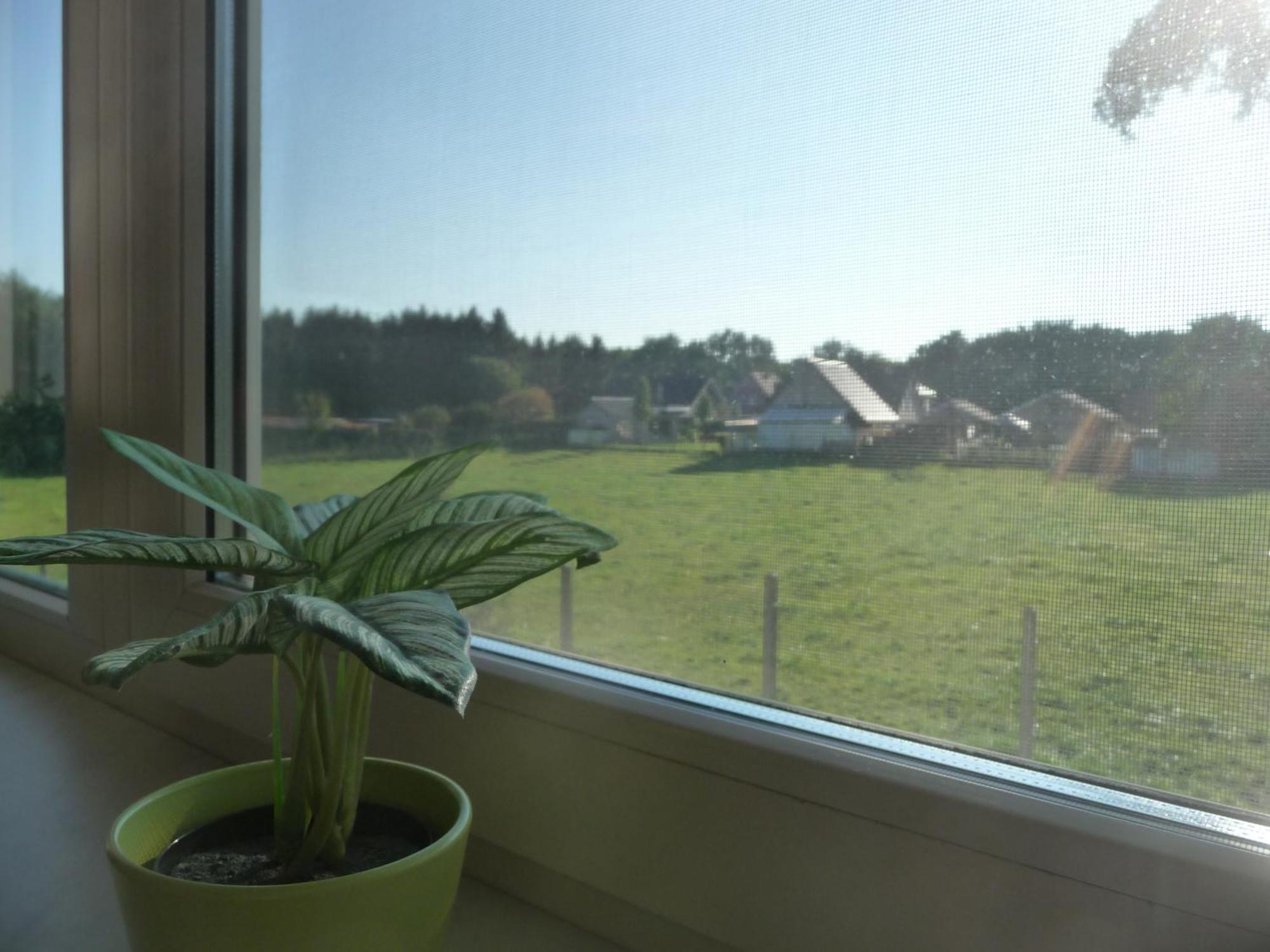 De Alpacaboerderij Daire Bocholt Oda fotoğraf