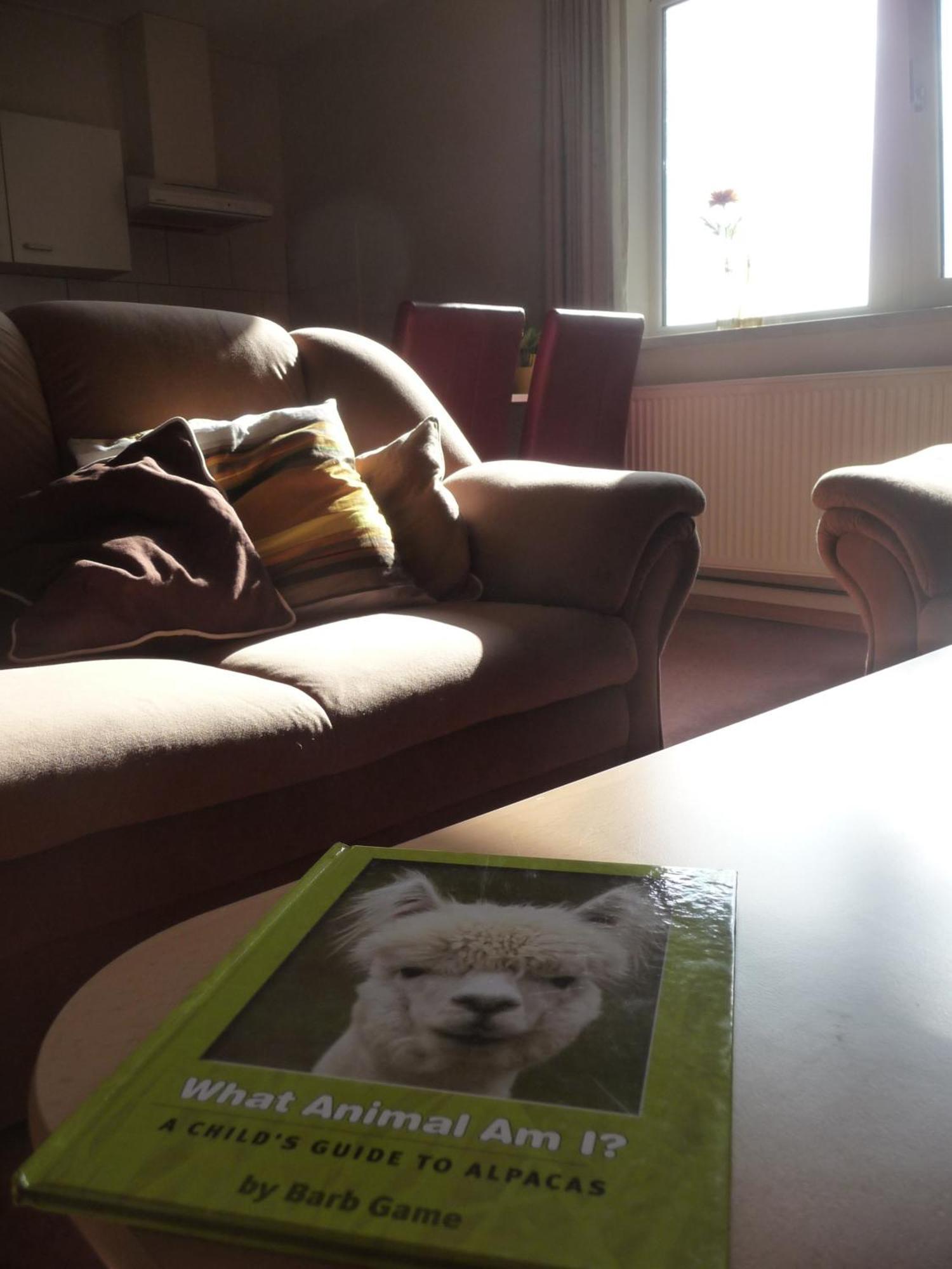 De Alpacaboerderij Daire Bocholt Oda fotoğraf
