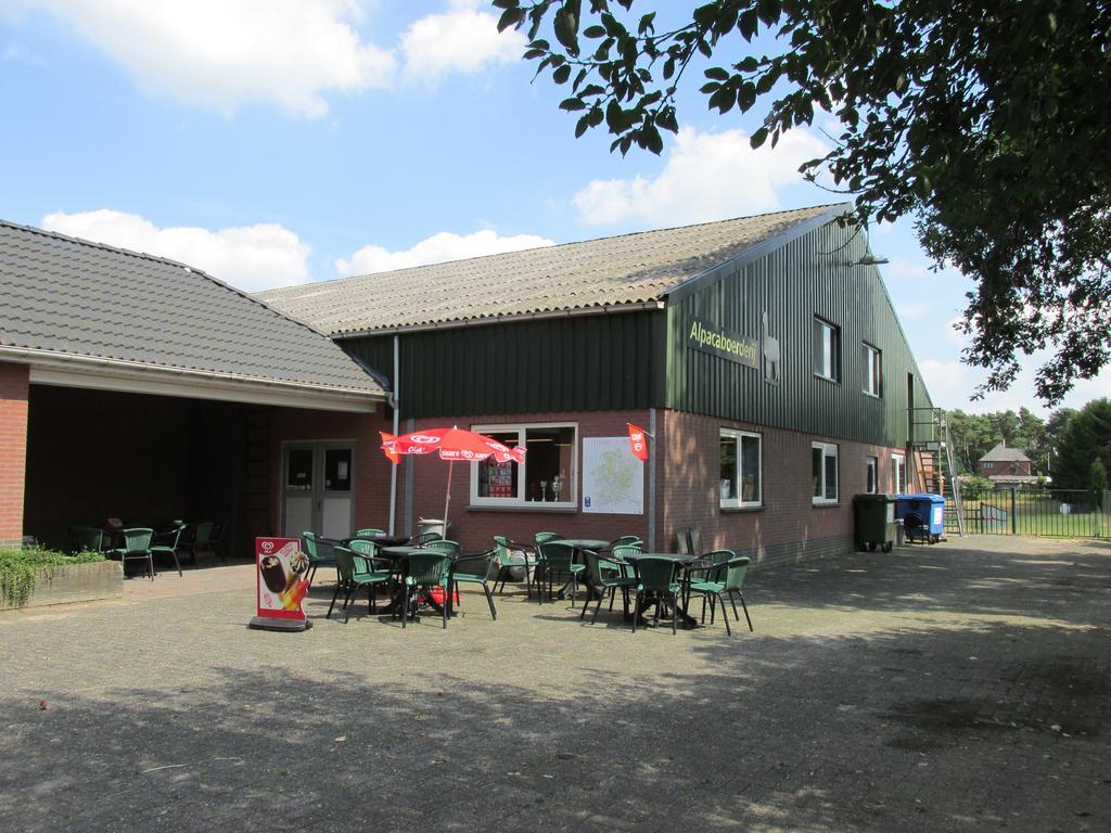 De Alpacaboerderij Daire Bocholt Dış mekan fotoğraf