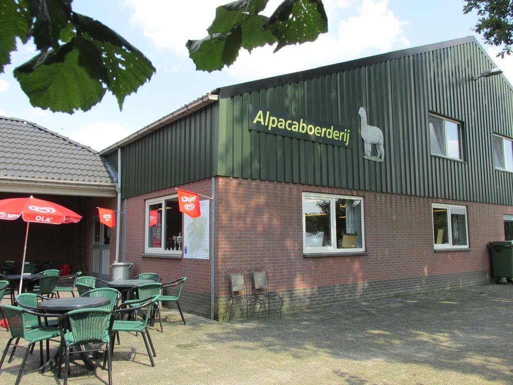 De Alpacaboerderij Daire Bocholt Dış mekan fotoğraf