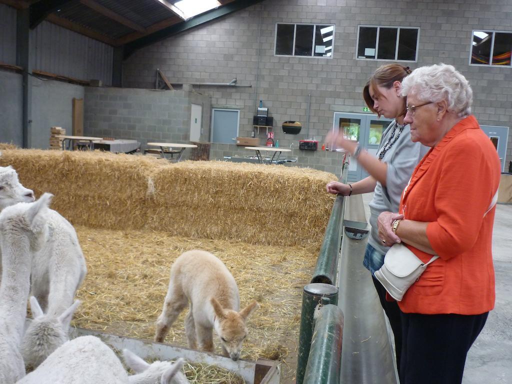 De Alpacaboerderij Daire Bocholt Dış mekan fotoğraf